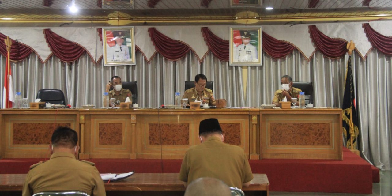 Bupati Parosil Minta jajaran Pemkab Lambar segera tangani konflik gajah