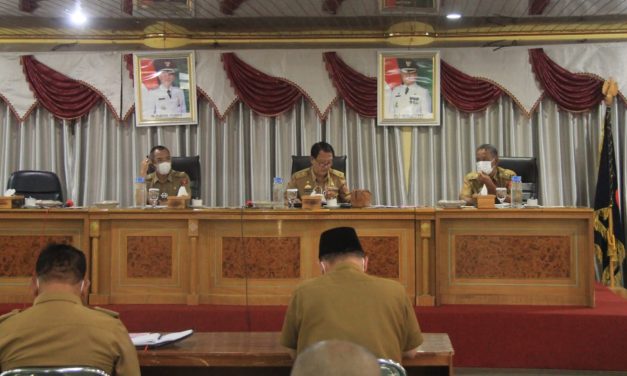 Bupati Parosil Minta jajaran Pemkab Lambar segera tangani konflik gajah