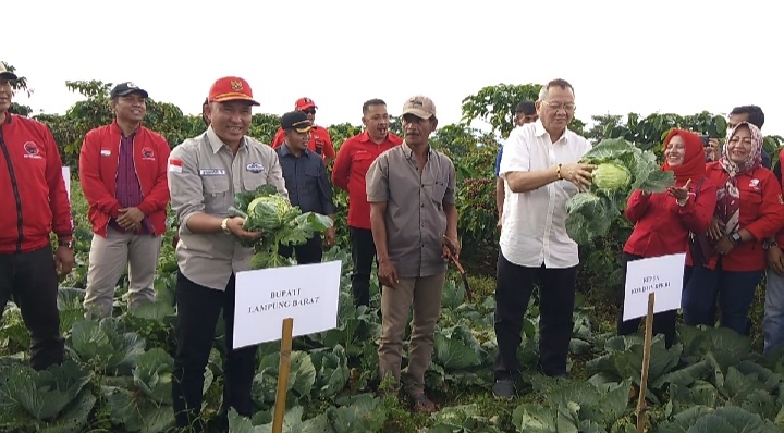 Bupati Parosil lakukan dialog terkait pengembangan kopi dengan ketua DPR RI dan Direktorat Kementerian Pertanian
