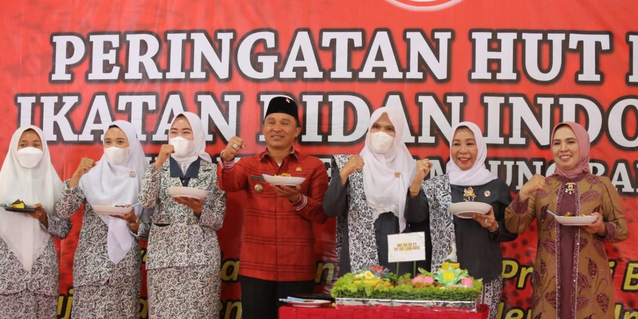 Hadiri Peringatan HUT Ke-71 IBI, Parosil Sebut Profesi Bidan Tugas Mulia
