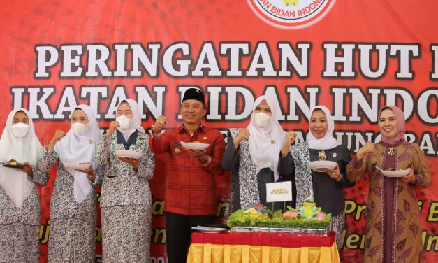Hadiri Peringatan HUT Ke-71 IBI, Parosil Sebut Profesi Bidan Tugas Mulia