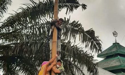 Peresmian Lamban Budaya Dimeriahkan Bebagai Tarian Adat Budaya dan Panjat Pinang