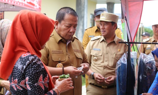 Pj. Bupati Nukman Dampingi Gubernur Lampung Tinjau Stand UMKM