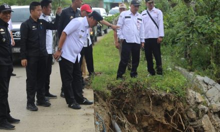Tinjau Longsor Di Kecamatan Sekincau, Pj. Bupati Himbau Untuk Waspada.