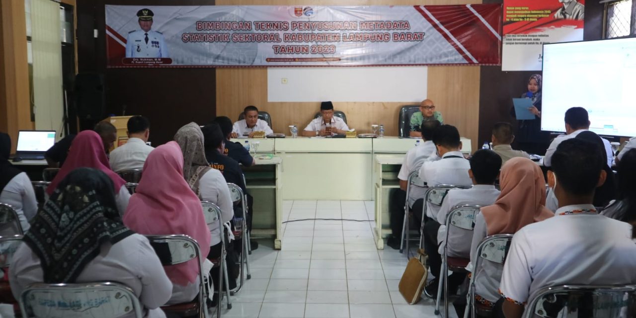 Pemkab Lambar selenggarakan Bimbingan Teknis terkait penyusunan metadata statistik sektoral tahun 2023