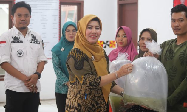 Peduli Stunting TP-PKK Lambar Bagikan 35.000 Benih Ikan Nila.