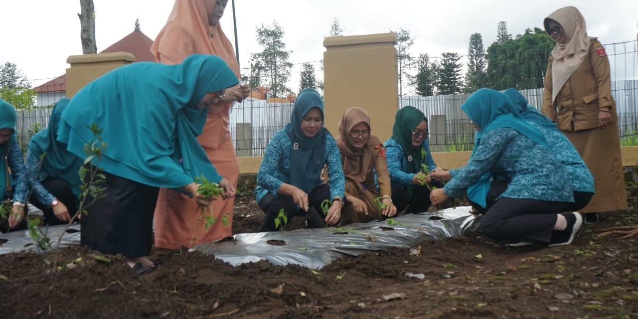 Gerakan tanam cabai nasional, Ketua TP PKK Lambar tanam 100 bibit cabai