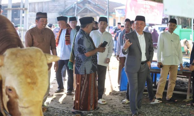 Serahkan Hewan Kurban Presiden Prabowo Subianto, Parosil Minta Ini Jadi Inspirasi Bagi Peternak Lampung Barat