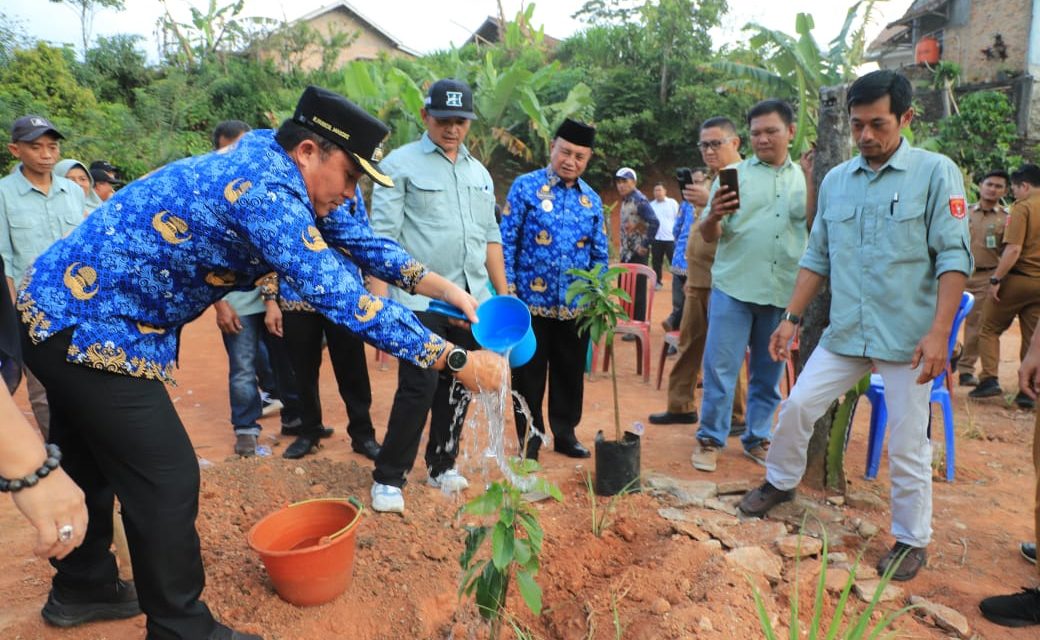 Komitmen Kabupaten Konservasi, Parosil Mabsus Bagikan 240 Pohon Alpukat Siger