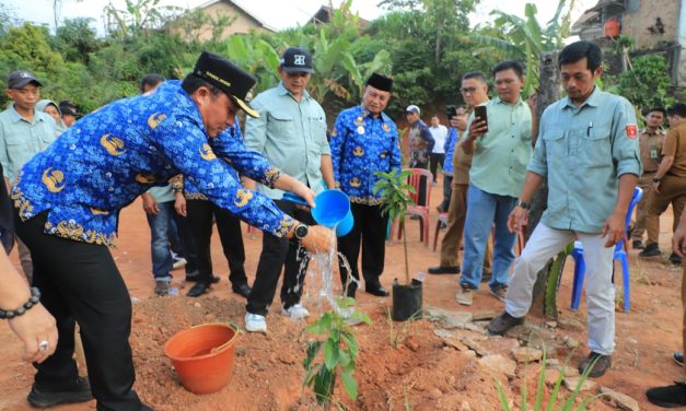 Komitmen Kabupaten Konservasi, Parosil Mabsus Bagikan 240 Pohon Alpukat Siger