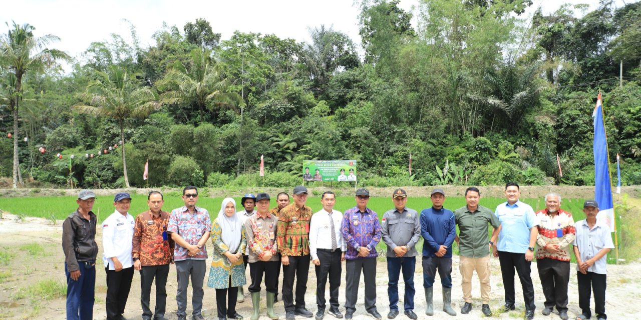Kejari Lambar Targetkan 2025 Buka lahan Tujuh Hektare Untuk Ketahanan Pangan, Sekda : Pemda Siap Bersinergi