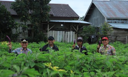 Dampingi Gubernur Lampung Temu Masyarakat Sukau, Bupati & Wakil Bupati Curhat Keluhan Masyarakat Lambar