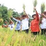 Panen Raya MT Perdana, Sekda Nukman Apresiasi Program Petani Mitra Adhyaksa