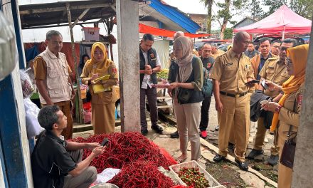 Sidak Pasar Liwa, Pemkab dan Satgas Saber Pastikan Harga Bapokting Stabil Jelang Hari Raya