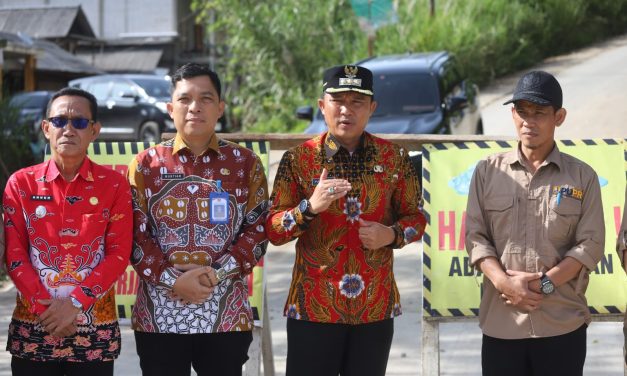 Bupati Resmikan Jembatan Way Sepagasan, Permudah Akses Penyaluran Hasil Pertanian Warga