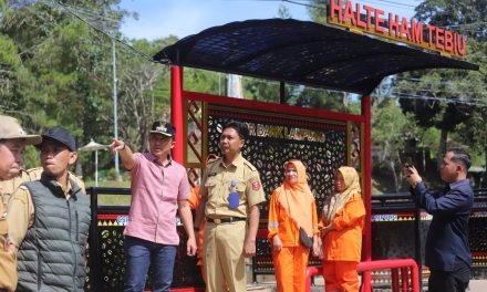 Bupati Lampung Barat Percantik Taman di Hamtebiu