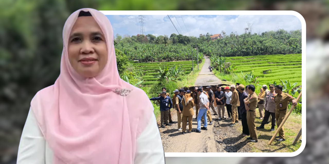 PUPR Lambar Pastikan Akses Jalan Putus Way Tenong – Air Hitam Merupakan Akses Alternatif Bukan Jalur Utama