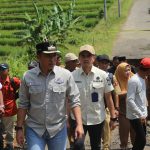 Bupati Lampung Barat Tinjau Jalan Putus di Way Tenong, Minta Penanganan Segera Dilakukan