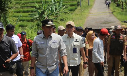 Bupati Lampung Barat Tinjau Jalan Putus di Way Tenong, Minta Penanganan Segera Dilakukan