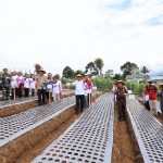 Lampung Barat Disiapkan Jadi Sentra Bawang Putih, Bupati : Butuh Upaya Serius