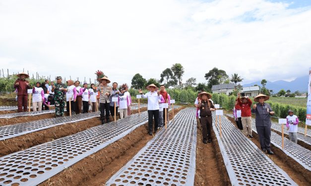 Lampung Barat Disiapkan Jadi Sentra Bawang Putih, Bupati : Butuh Upaya Serius