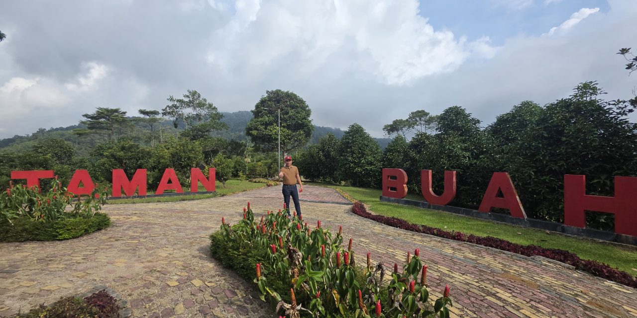 Bupati Parosil Ajak Masyarakat Kunjungi Kebun Raya Liwa, Ada Buah yang Siap Dipetik dan Dinikmati Pengunjung