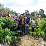 Dampingi Gubernur Lampung, Wabup Mad Hasnurin Dukung Peningkatan Produktivitas Kopi Lewat PHC di Kebun Induk Hanakau