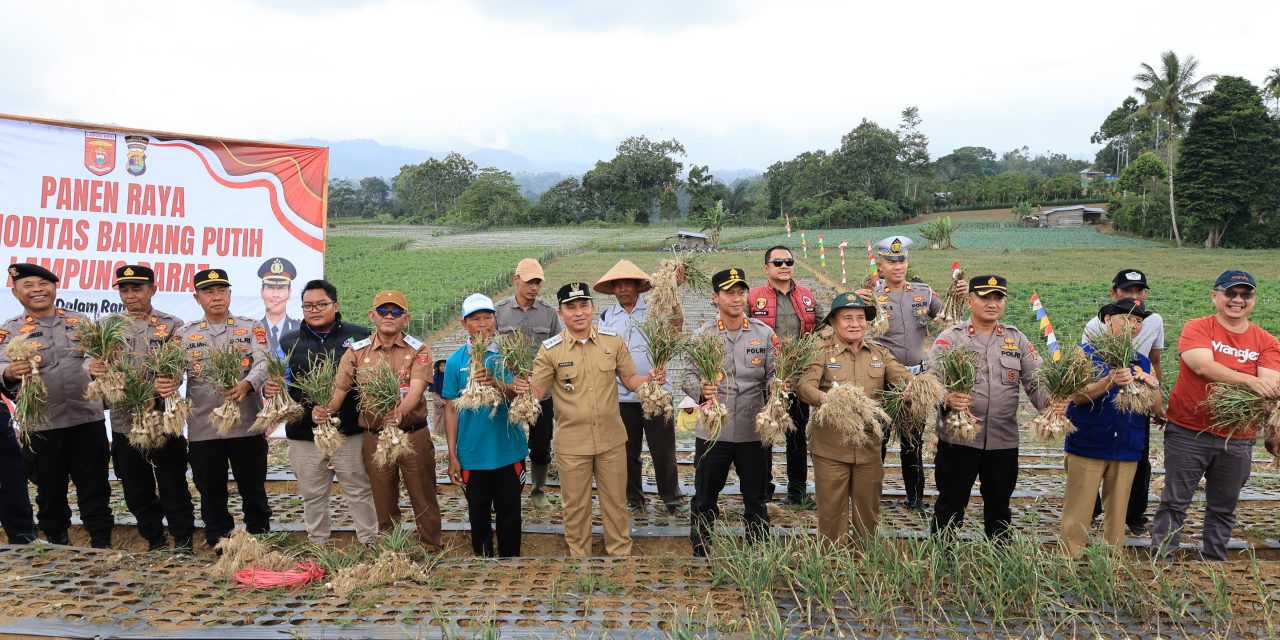 Panen Perdana Bawang Putih, Pemkab Lampung Barat Perkuat Dukungan terhadap Program Polri