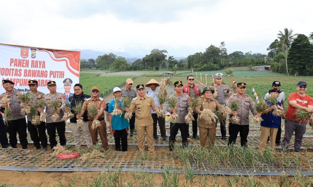 Panen Perdana Bawang Putih, Pemkab Lampung Barat Perkuat Dukungan terhadap Program Polri