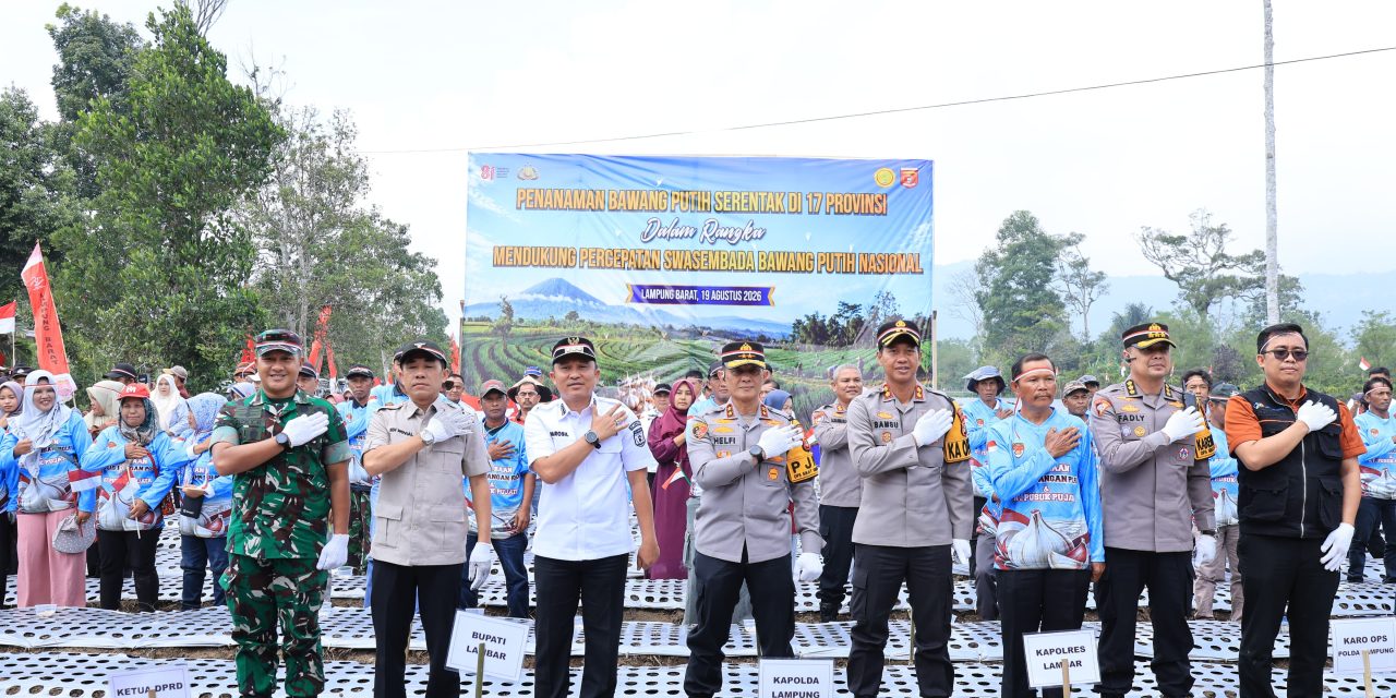 Dari Lampung Barat, Kapolda dan Bupati Tanam Bawang Putih Dukung Swasembada Nasional
