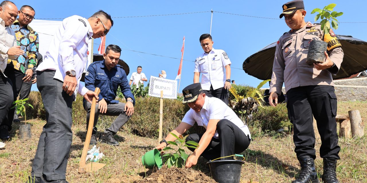 Bupati Parosil dan IJTI Tanam Pohon di Kebun Raya Liwa, Perkuat Komitmen Lampung Barat sebagai Kabupaten Konservasi