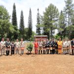 Lampung Barat Tandai HUT ke 35 Dengan Tanam Pohon